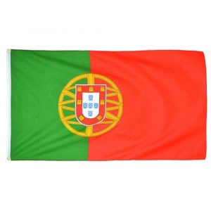 перевод документов на португальский
